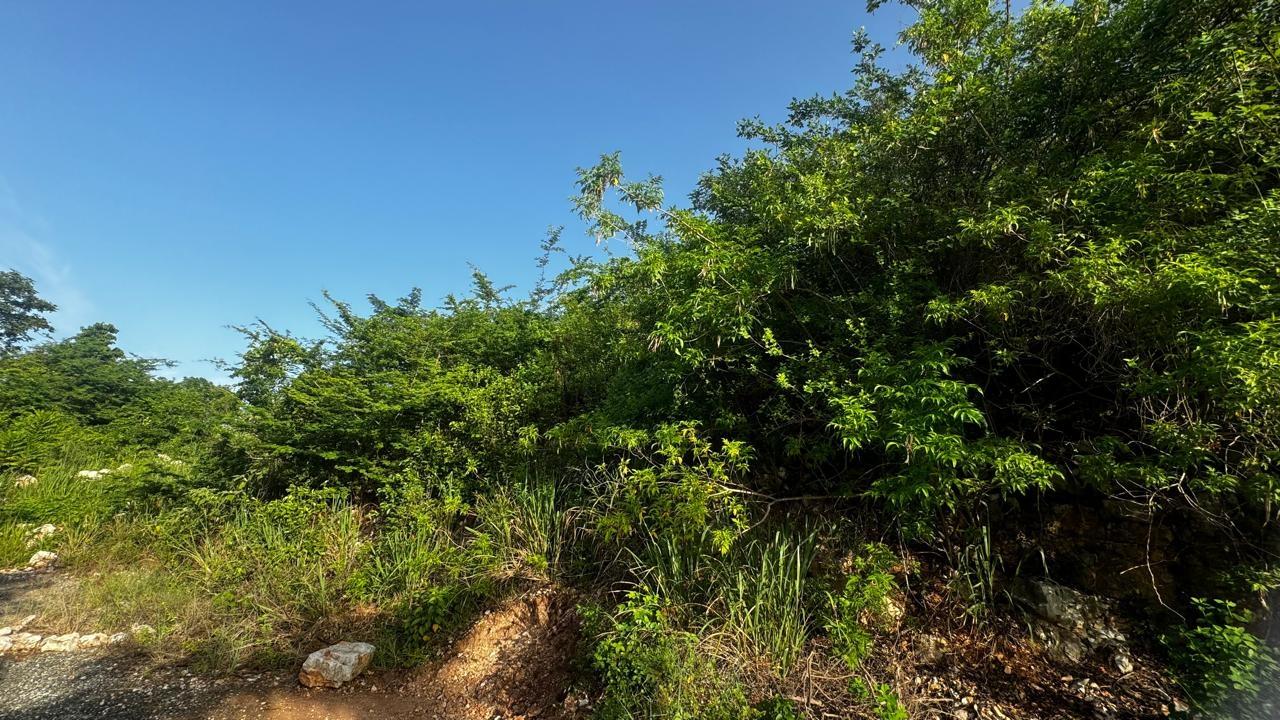 Third image of Lot 19- Pleasant Avenue, Pleasant in Red Hills, St. Andrew, Jamaica - property is For Sale