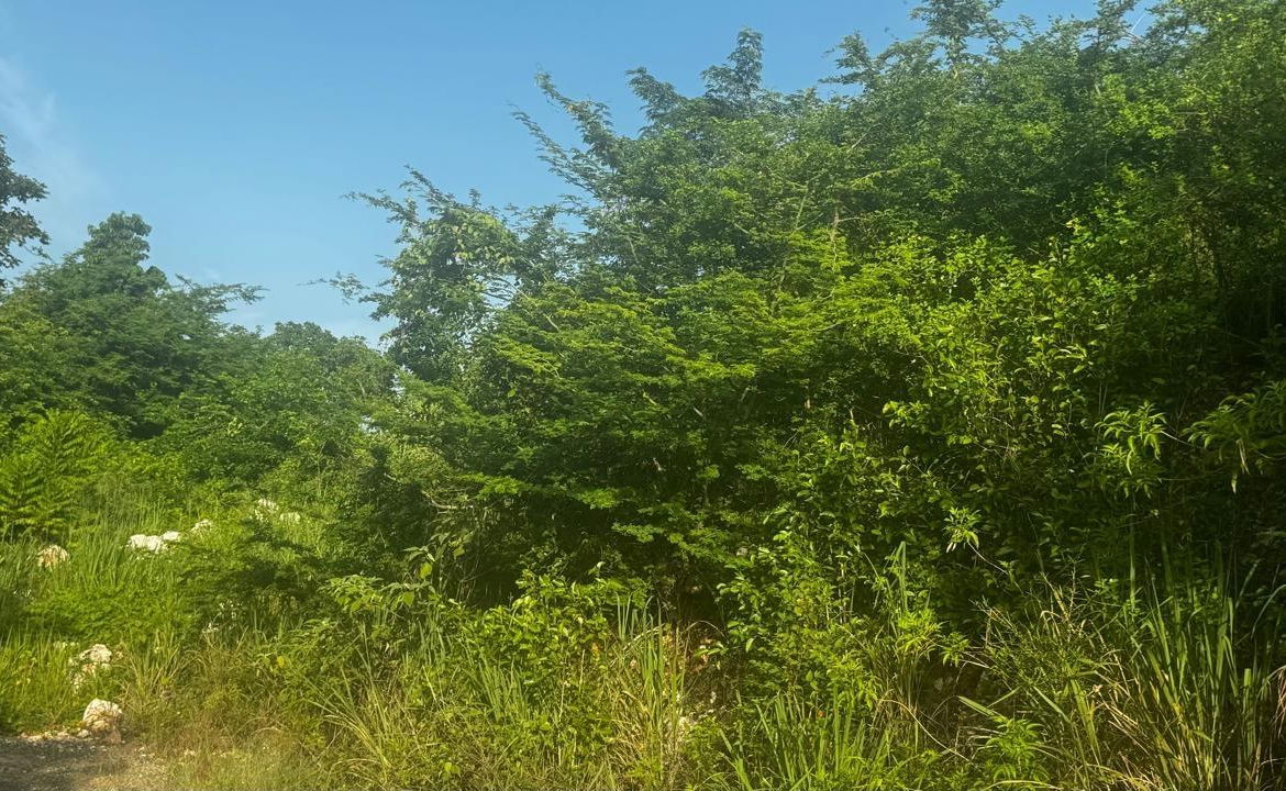 Fifth image of Lot 19- Pleasant Avenue, Pleasant in Red Hills, St. Andrew, Jamaica - property is For Sale