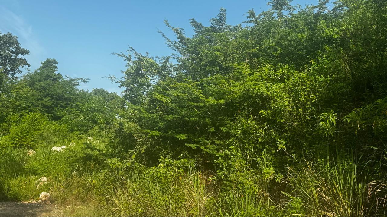 Fifth image of Lot 19- Pleasant Avenue, Pleasant in Red Hills, St. Andrew, Jamaica - property is For Sale