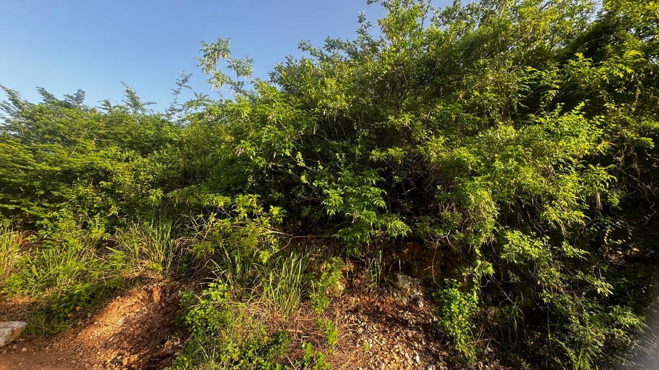 Sixth image of Lot 19- Pleasant Avenue, Pleasant in Red Hills, St. Andrew, Jamaica - property is For Sale