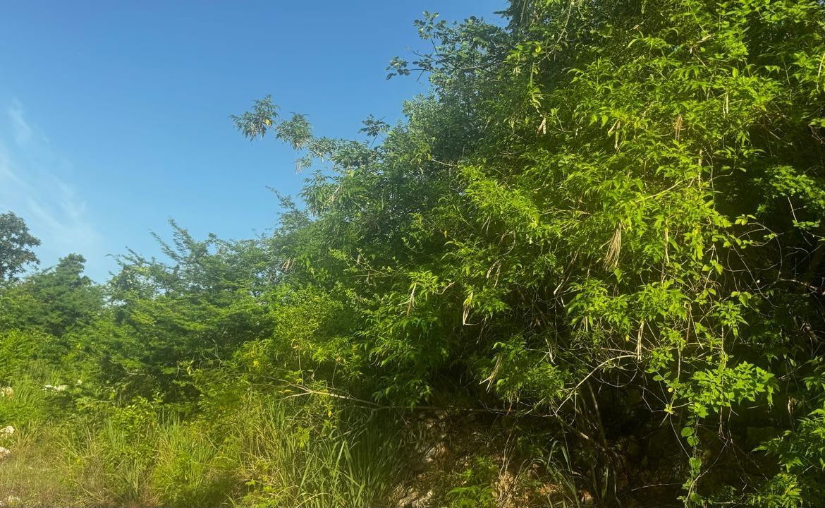 Seventh image of Lot 19- Pleasant Avenue, Pleasant in Red Hills, St. Andrew, Jamaica - property is For Sale