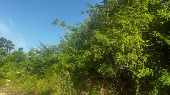 Seventh image of Lot 19- Pleasant Avenue, Pleasant in Red Hills, St. Andrew, Jamaica - property is For Sale