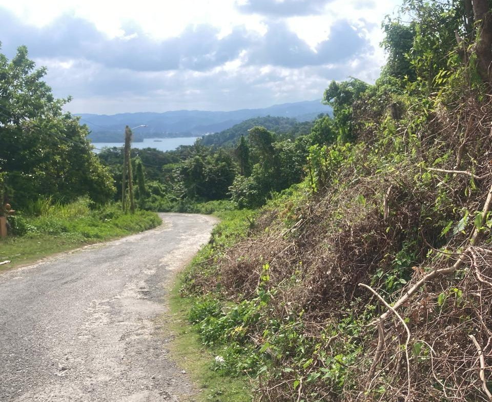 Thirteenth image of 34 Ocean Boulevard in Port Antonio, Portland, Jamaica - property is For Sale