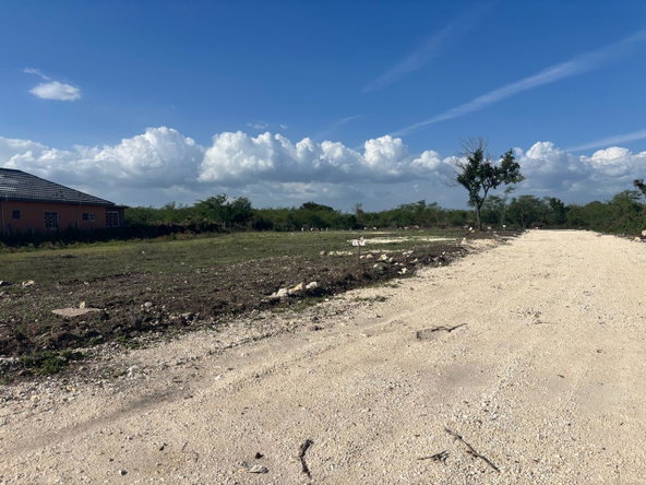 Second image of Lot 1- Part of Racecourse in Race Course, Clarendon, Jamaica - property is For Sale