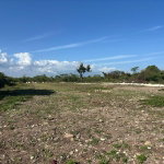 First image of Lot 1- Part of Racecourse in Race Course, Clarendon, Jamaica - property is For Sale