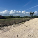 First image of Lot 2- Part of Racecourse in Race Course, Clarendon, Jamaica - property is For Sale