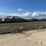 First image of Lot 4- Part of Racecourse in Race Course, Clarendon, Jamaica - property is For Sale