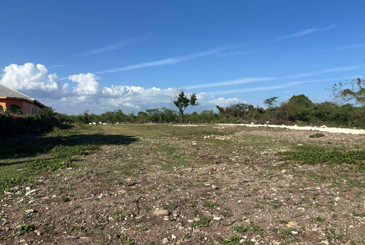 Third image of Lot 4- Part of Racecourse in Race Course, Clarendon, Jamaica - property is For Sale