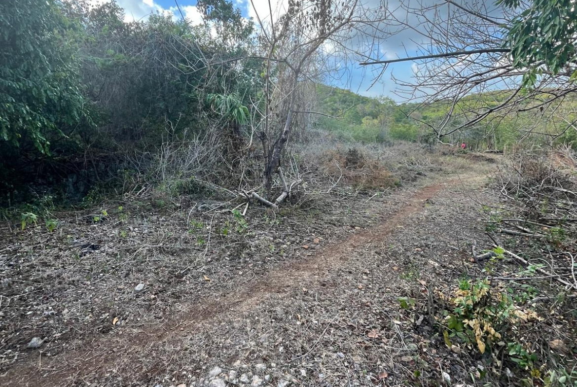Twelfth image of Lot 80 Ford Way, Red Ground, St. in Cocoa Walk, St. Catherine, Jamaica - property is For Sale