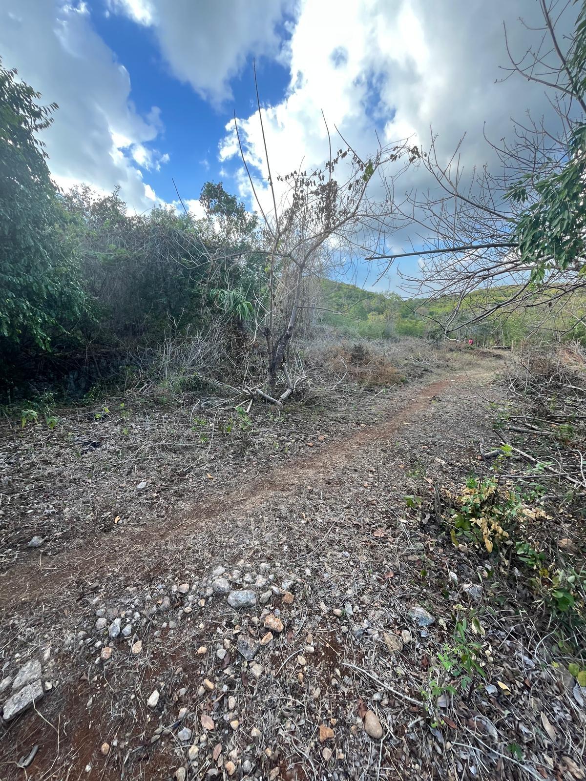 Twelfth image of Lot 80 Ford Way, Red Ground, St. in Cocoa Walk, St. Catherine, Jamaica - property is For Sale