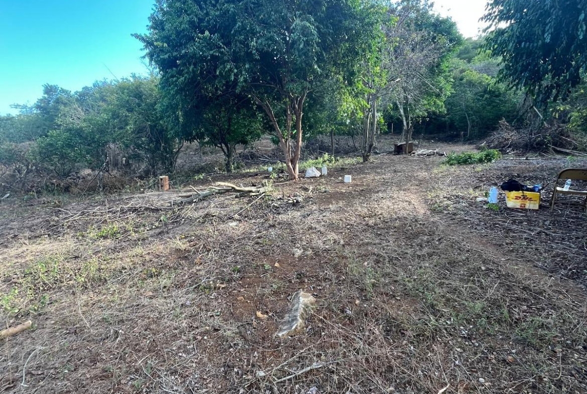 Thirteenth image of Lot 80 Ford Way, Red Ground, St. in Cocoa Walk, St. Catherine, Jamaica - property is For Sale