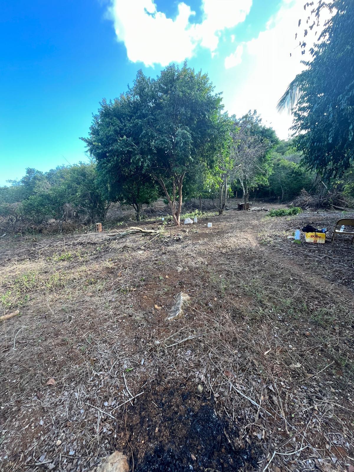 Thirteenth image of Lot 80 Ford Way, Red Ground, St. in Cocoa Walk, St. Catherine, Jamaica - property is For Sale