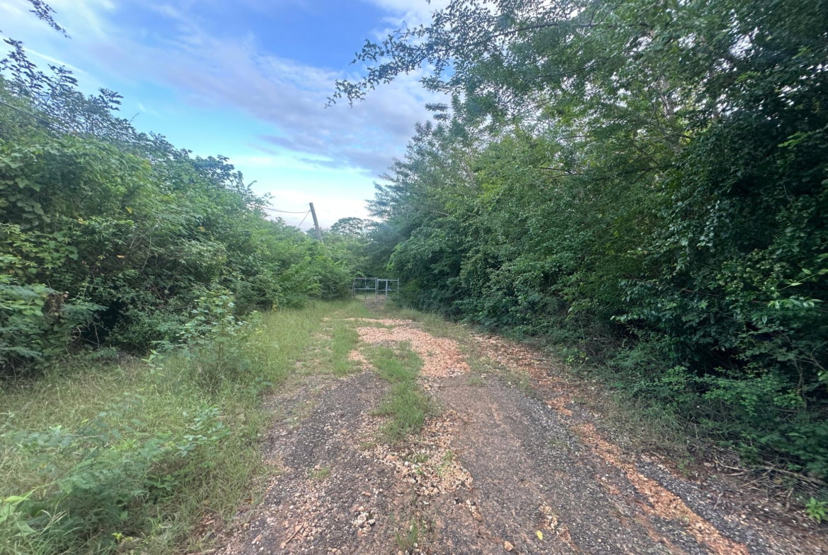 Third image of Lot 80 Ford Way, Red Ground, St. in Cocoa Walk, St. Catherine, Jamaica - property is For Sale