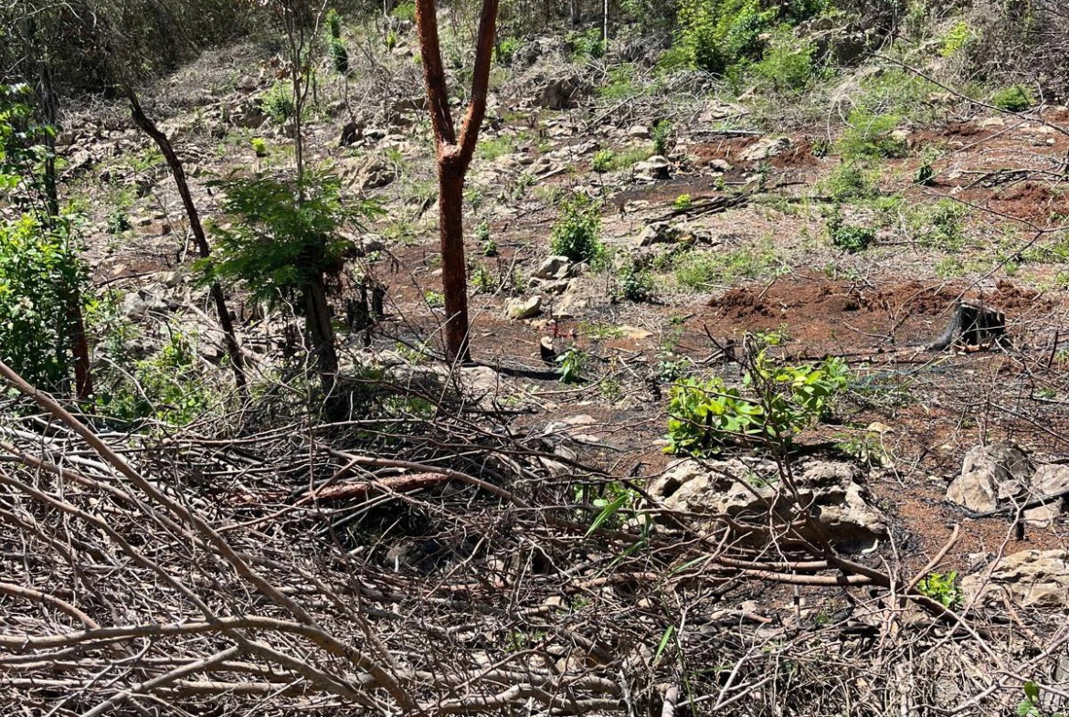 Fifth image of Lot 80 Ford Way, Red Ground, St. in Cocoa Walk, St. Catherine, Jamaica - property is For Sale