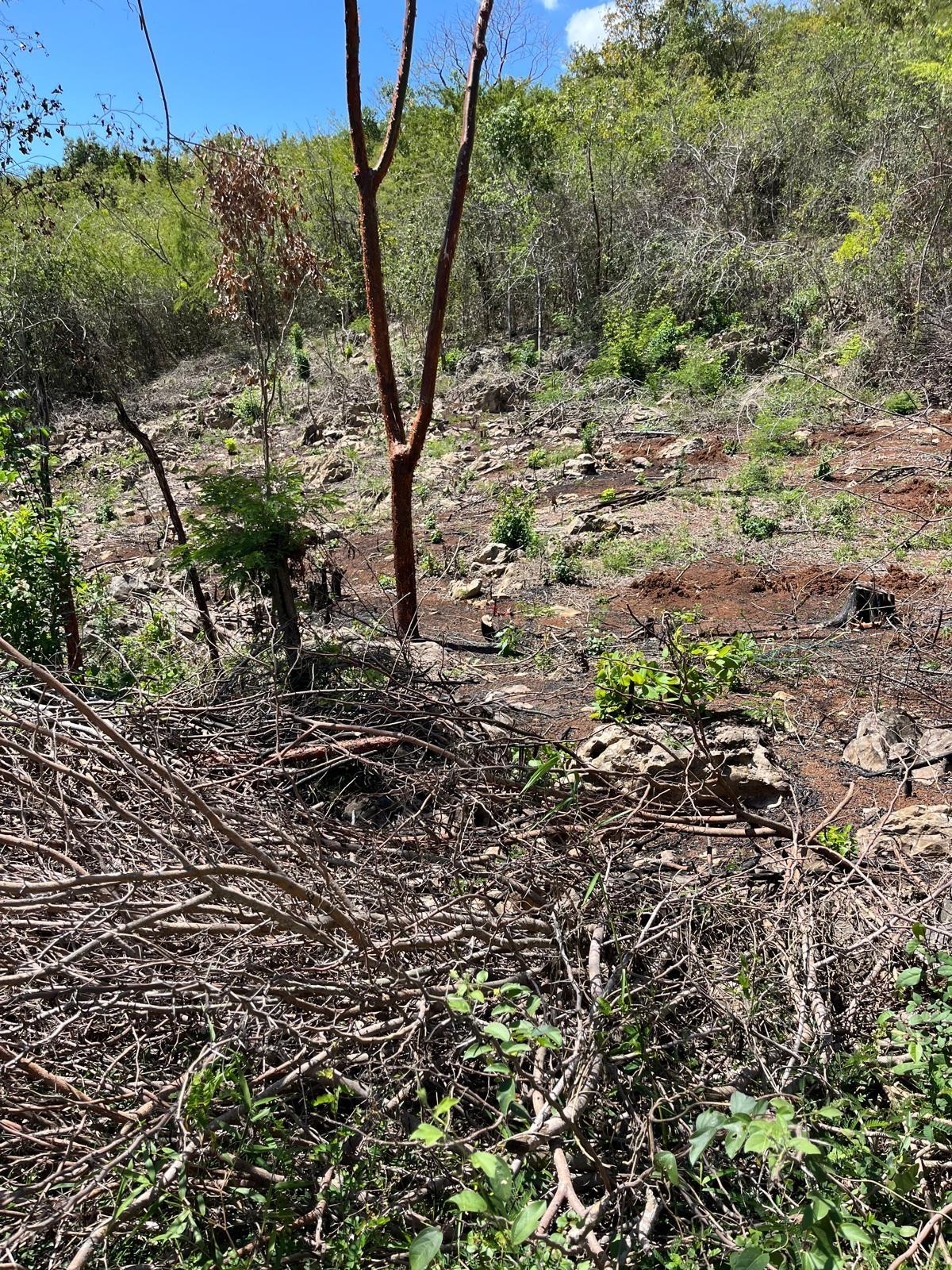 Fifth image of Lot 80 Ford Way, Red Ground, St. in Cocoa Walk, St. Catherine, Jamaica - property is For Sale