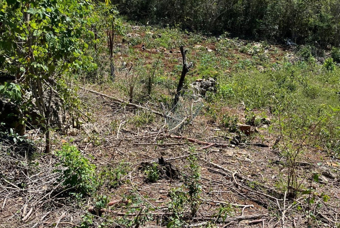 Sixth image of Lot 80 Ford Way, Red Ground, St. in Cocoa Walk, St. Catherine, Jamaica - property is For Sale