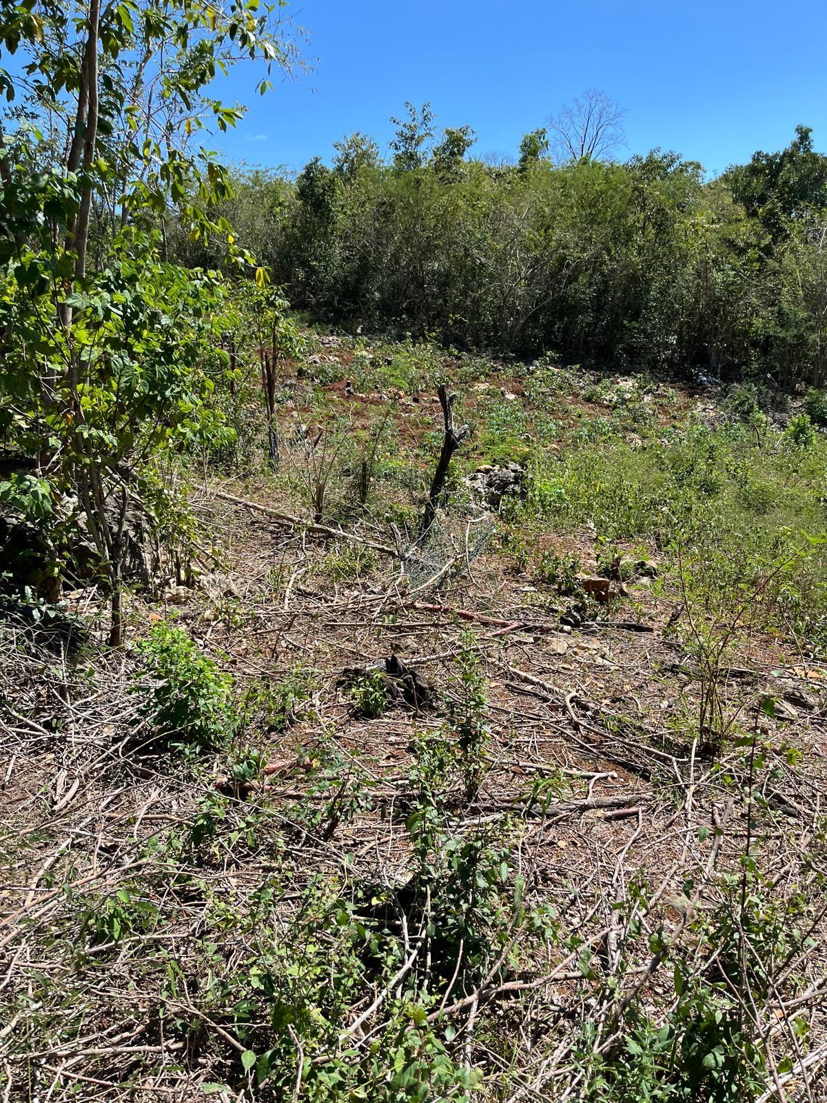 Sixth image of Lot 80 Ford Way, Red Ground, St. in Cocoa Walk, St. Catherine, Jamaica - property is For Sale