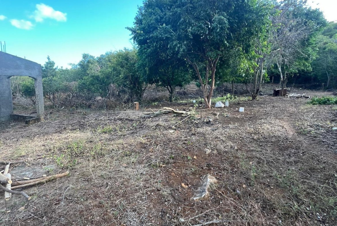 Seventh image of Lot 80 Ford Way, Red Ground, St. in Cocoa Walk, St. Catherine, Jamaica - property is For Sale