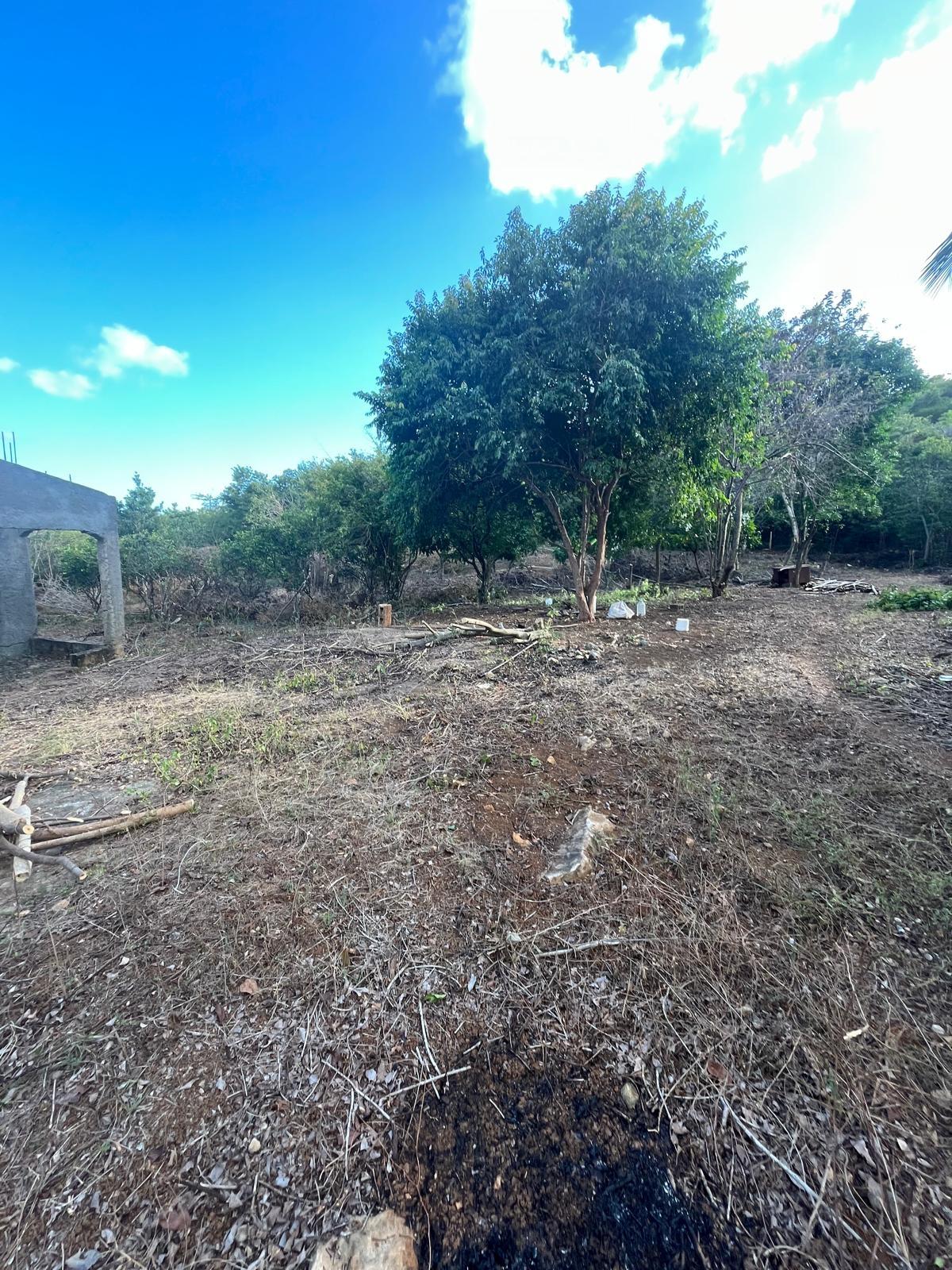 Seventh image of Lot 80 Ford Way, Red Ground, St. in Cocoa Walk, St. Catherine, Jamaica - property is For Sale