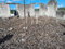 First image of Retirement, Phase 2 in Granville, St. James, Jamaica - property is For Sale