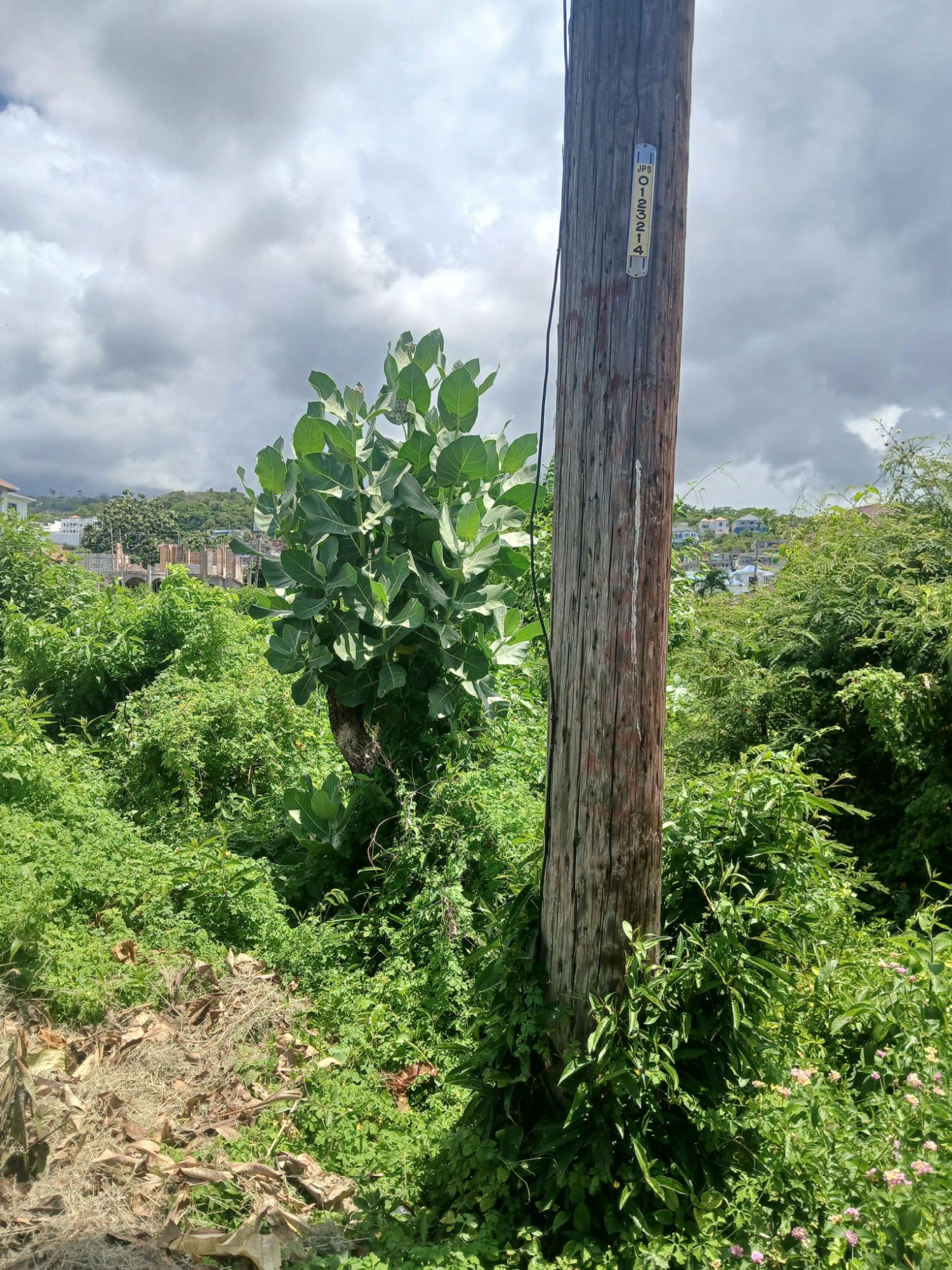 Third image of 29 Seven Oaks, Runaway Meado in Runaway Bay, St. Ann, Jamaica - property is For Sale