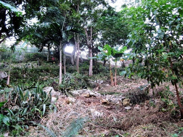 Fourth image of Seaview in Stony Hill P.O., St. Andrew, Jamaica - property is For Sale