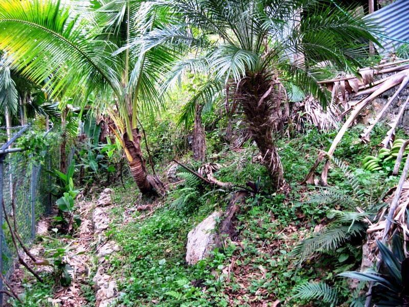 Seventh image of Seaview in Stony Hill P.O., St. Andrew, Jamaica - property is For Sale
