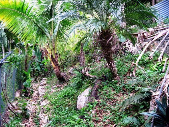 Seventh image of Seaview in Stony Hill P.O., St. Andrew, Jamaica - property is For Sale
