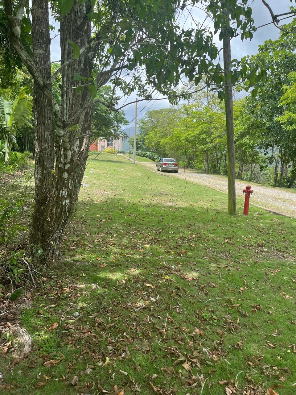 Second image of Sherbourne Heights in Kingston 9, St. Andrew, Jamaica - property is For Sale