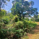 First image of Spring Grove, Porus P.o m in Porus, Manchester, Jamaica - property is For Sale