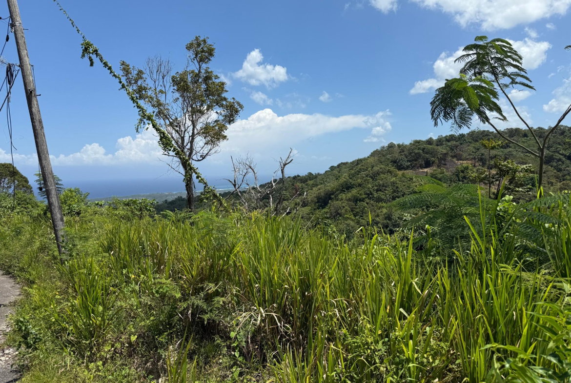 Third image of Lot 1b Las Palmas in St. Ann's Bay, St. Ann, Jamaica - property is For Sale