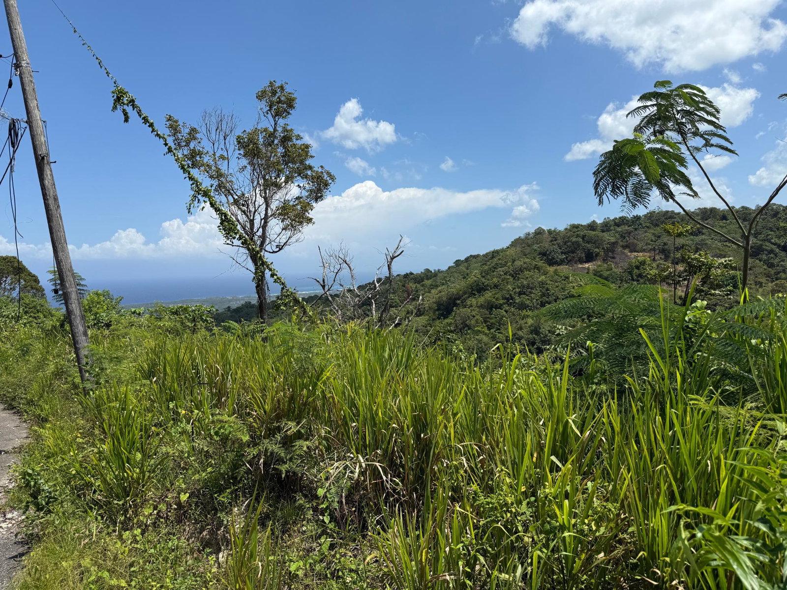 Third image of Lot 1b Las Palmas in St. Ann's Bay, St. Ann, Jamaica - property is For Sale