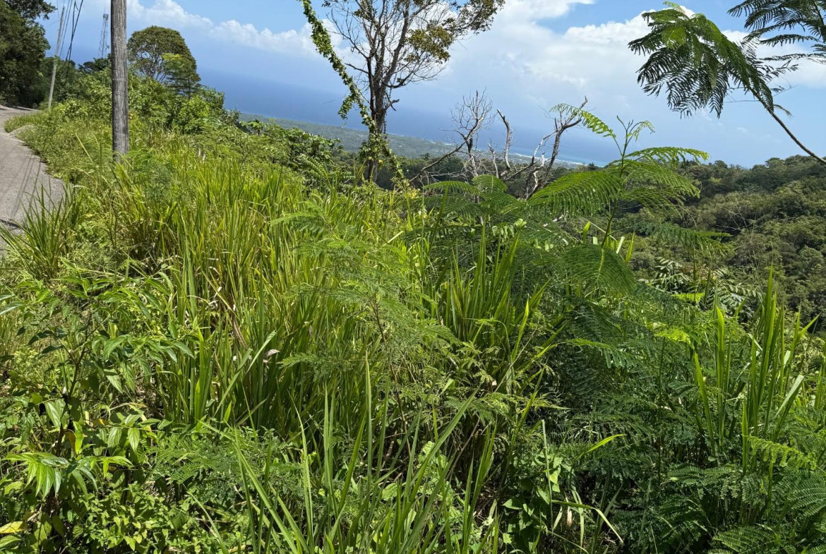 Fourth image of Lot 1b Las Palmas in St. Ann's Bay, St. Ann, Jamaica - property is For Sale