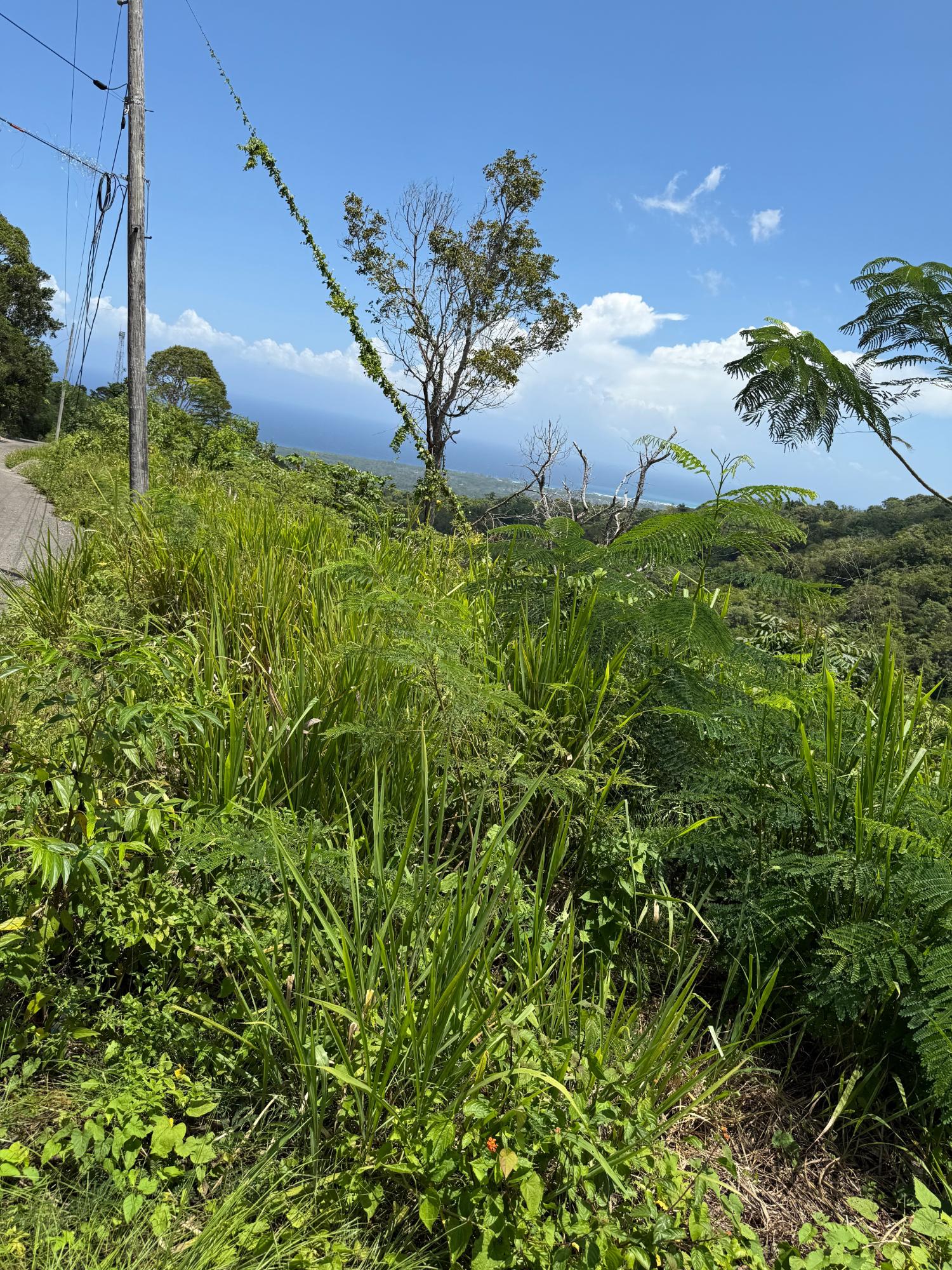 Fourth image of Lot 1b Las Palmas in St. Ann's Bay, St. Ann, Jamaica - property is For Sale