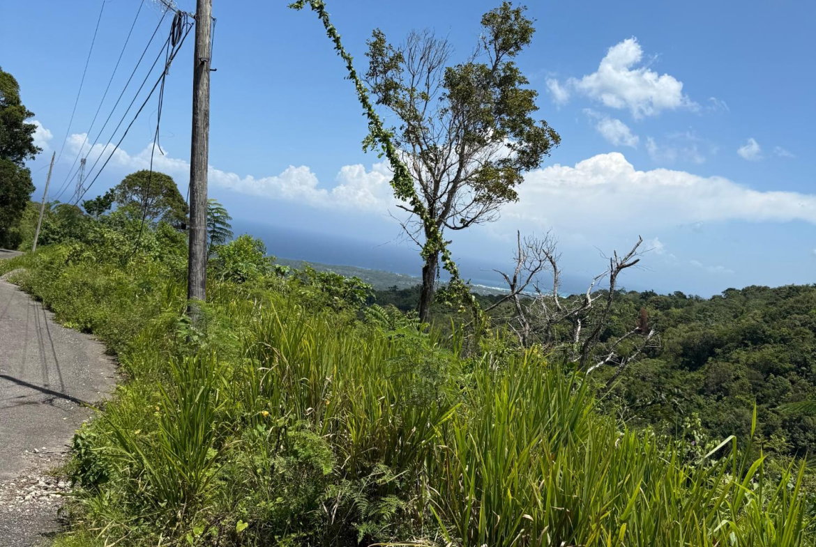 Fifth image of Lot 1b Las Palmas in St. Ann's Bay, St. Ann, Jamaica - property is For Sale