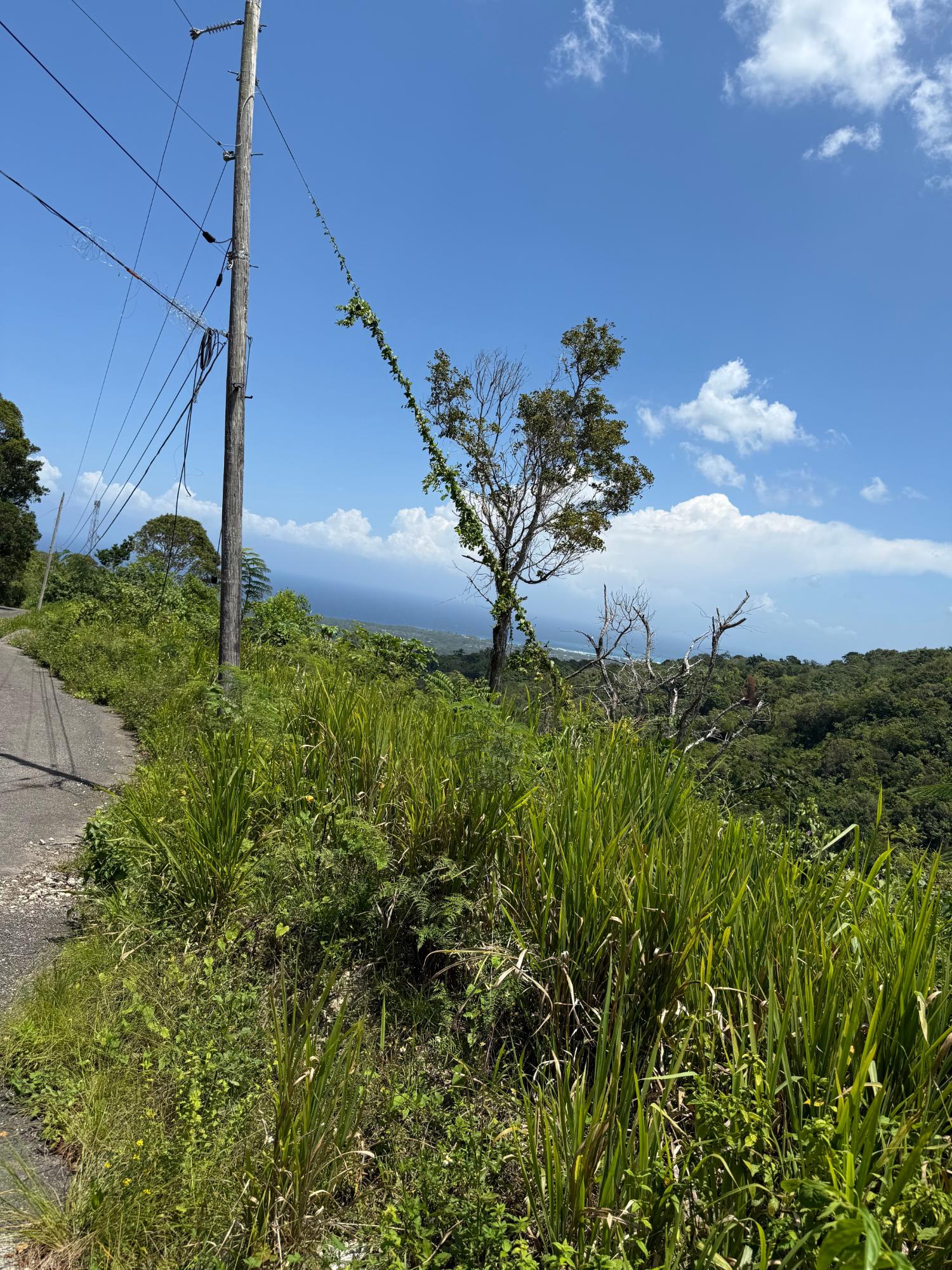 Fifth image of Lot 1b Las Palmas in St. Ann's Bay, St. Ann, Jamaica - property is For Sale