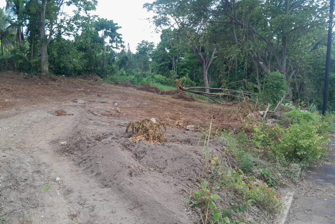 Seventh image of Lot 6- Recreation Drive in Ewarton, St. Catherine, Jamaica - property is For Sale