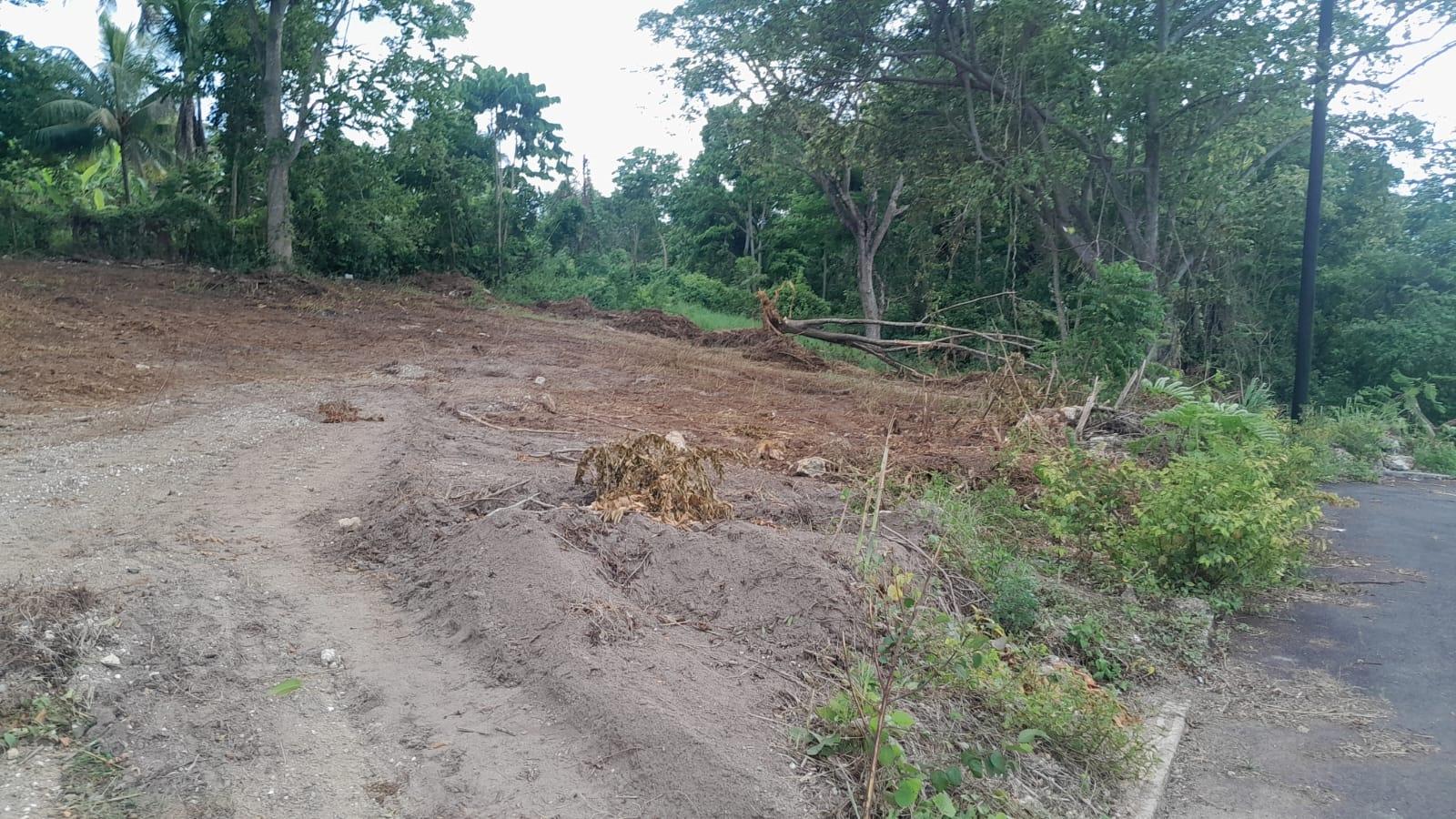 Residential-Lot-for-Sale-in-St.-Catherine-Jamaica-–-7589-Sq-Ft-on-Recreation-Drive Seventh image of Lot 6- Recreation Drive in Ewarton, St. Catherine, Jamaica - property is For Sale
