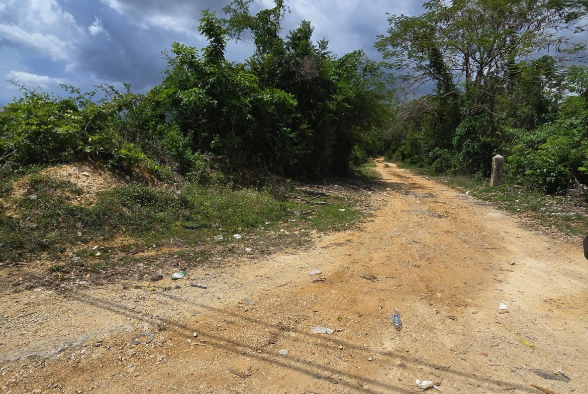 Fourth image of Part of Brompton Called r in Brompton, St. Elizabeth, Jamaica - property is For Sale