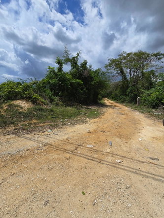 Fourth image of Part of Brompton Called r in Brompton, St. Elizabeth, Jamaica - property is For Sale