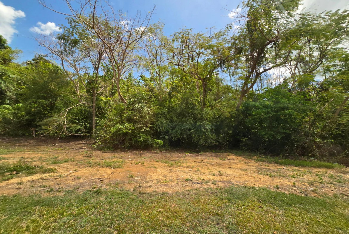 Sixth image of Part of Brompton Called r in Brompton, St. Elizabeth, Jamaica - property is For Sale