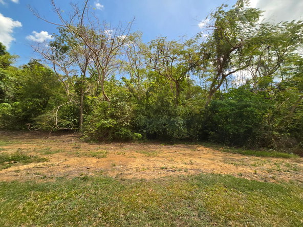 Sixth image of Part of Brompton Called r in Brompton, St. Elizabeth, Jamaica - property is For Sale