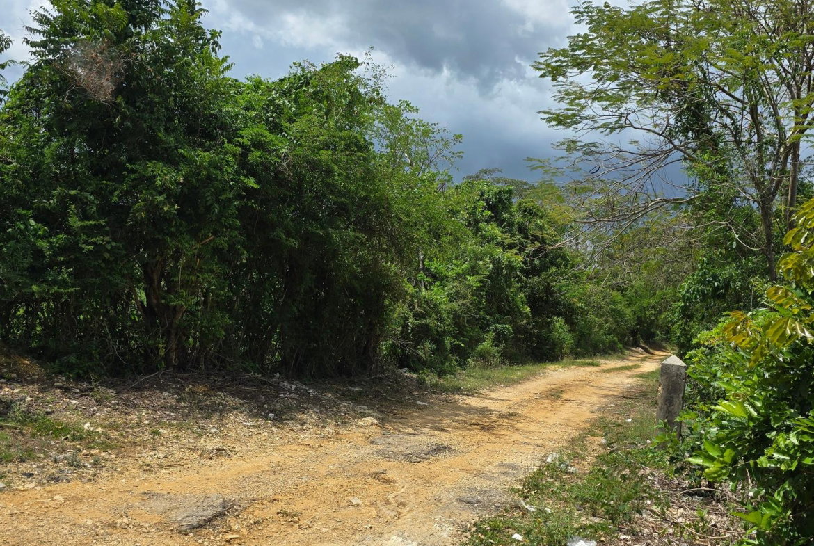 Seventh image of Part of Brompton Called r in Brompton, St. Elizabeth, Jamaica - property is For Sale