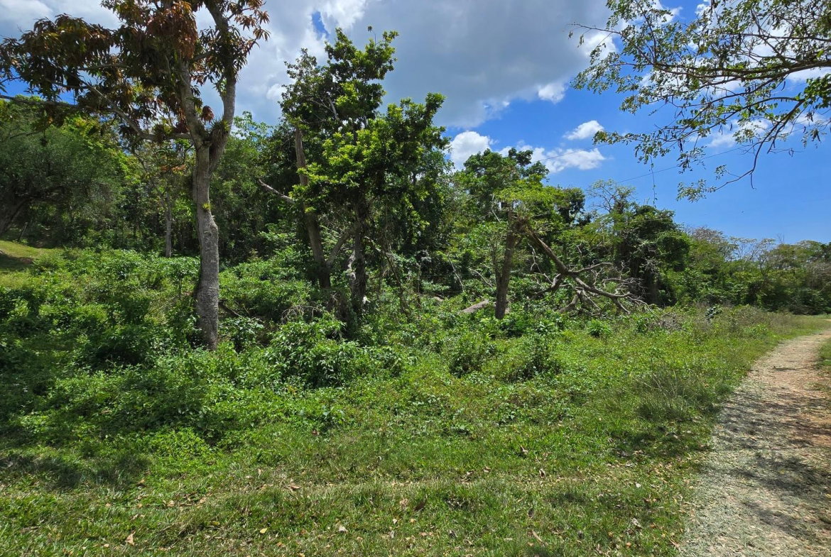 Eighth image of Part of Brompton Called r in Brompton, St. Elizabeth, Jamaica - property is For Sale