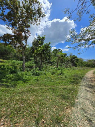 Eighth image of Part of Brompton Called r in Brompton, St. Elizabeth, Jamaica - property is For Sale