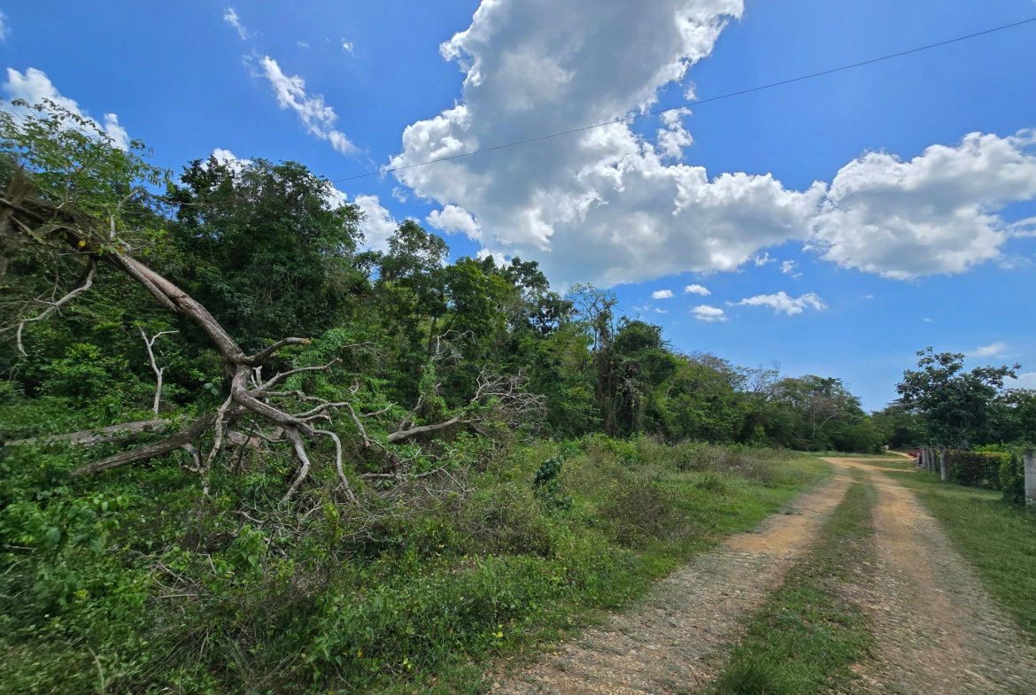 Ninth image of Part of Brompton Called r in Brompton, St. Elizabeth, Jamaica - property is For Sale