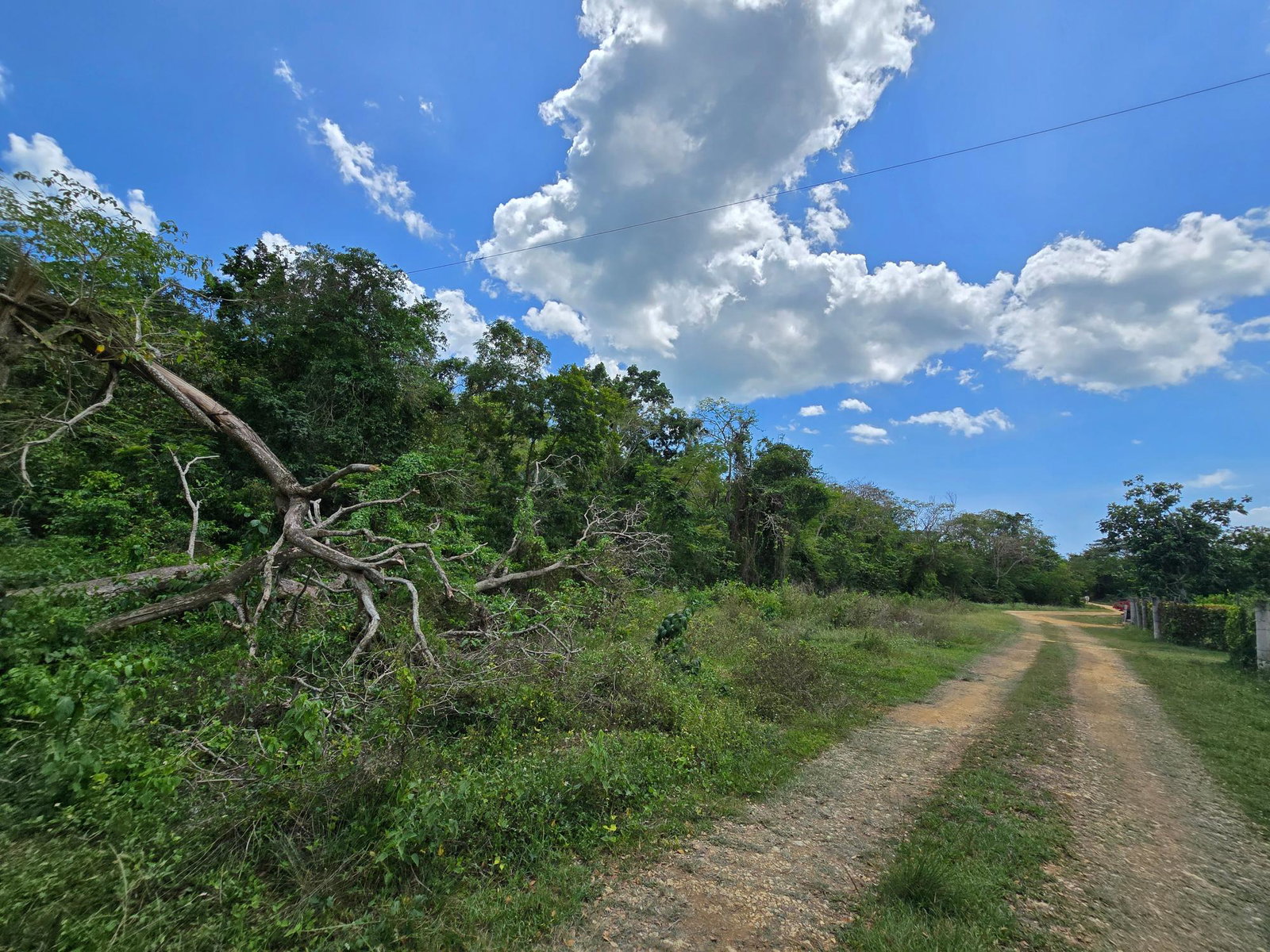 Ninth image of Part of Brompton Called r in Brompton, St. Elizabeth, Jamaica - property is For Sale