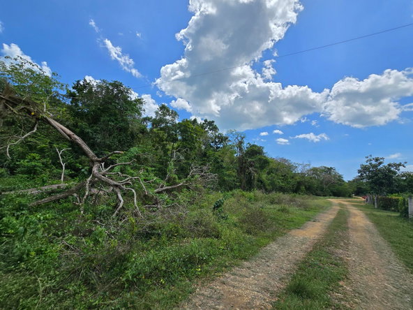 Ninth image of Part of Brompton Called r in Brompton, St. Elizabeth, Jamaica - property is For Sale