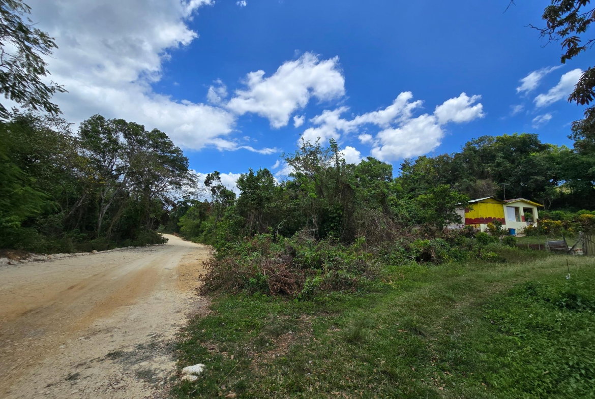 Tenth image of Part of Brompton Called r in Brompton, St. Elizabeth, Jamaica - property is For Sale