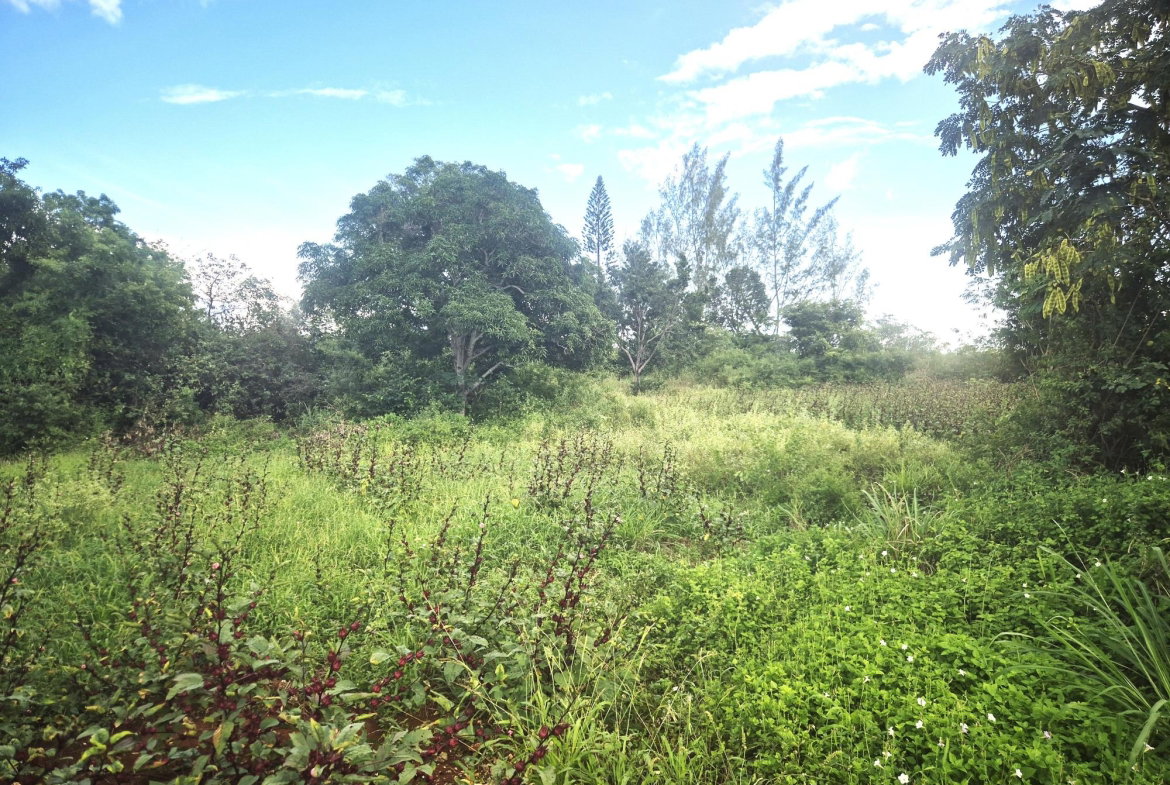First image of Lititz Main Road in Lititz Pen, St. Elizabeth, Jamaica - property is For Sale